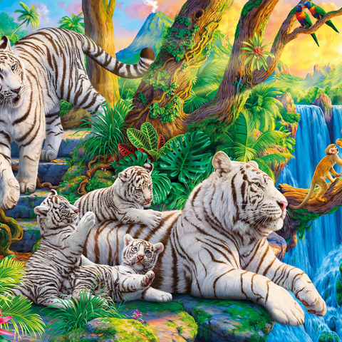 Family of White Tiger 1000 Jigsaw Puzzle 3D Modell