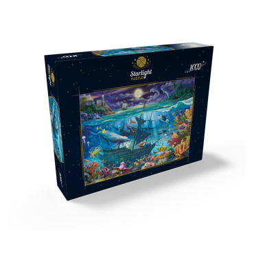 Evening Undersea 1000 Jigsaw Puzzle box view2