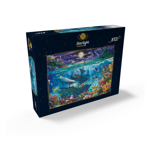 Evening Undersea 1000 Jigsaw Puzzle box view2