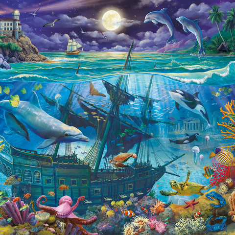 Evening Undersea 1000 Jigsaw Puzzle 3D Modell