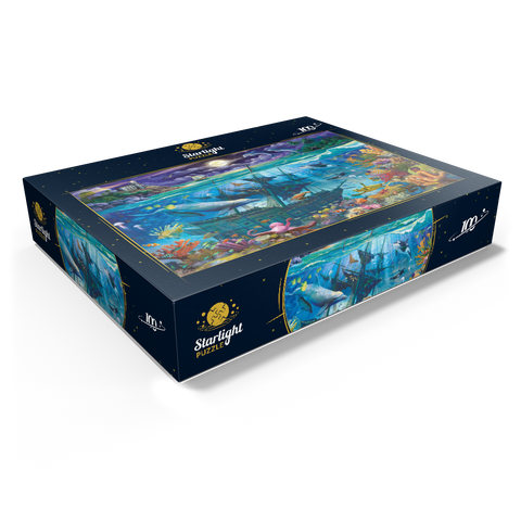 Evening Undersea 100 Jigsaw Puzzle box view1