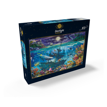 Evening Undersea 100 Jigsaw Puzzle box view2