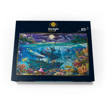 Evening Undersea 100 Jigsaw Puzzle box view3