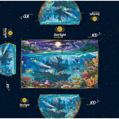 Evening Undersea 100 Jigsaw Puzzle box 3D Modell