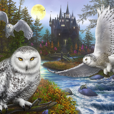 Snowy Owls 1000 Jigsaw Puzzle 3D Modell