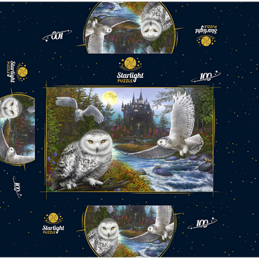 Snowy Owls 100 Jigsaw Puzzle box 3D Modell