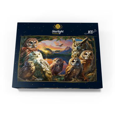 Owls at Sunset 100 Jigsaw Puzzle box view3