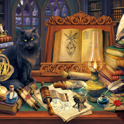 Magic Library 1000 Jigsaw Puzzle 3D Modell