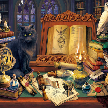 Magic Library 100 Jigsaw Puzzle 3D Modell