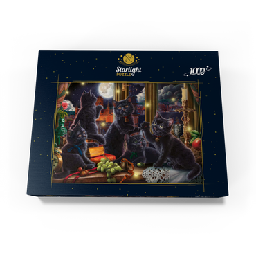 Black Kittens & Fireflies 1000 Jigsaw Puzzle box view3