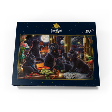 Black Kittens & Fireflies 100 Jigsaw Puzzle box view3