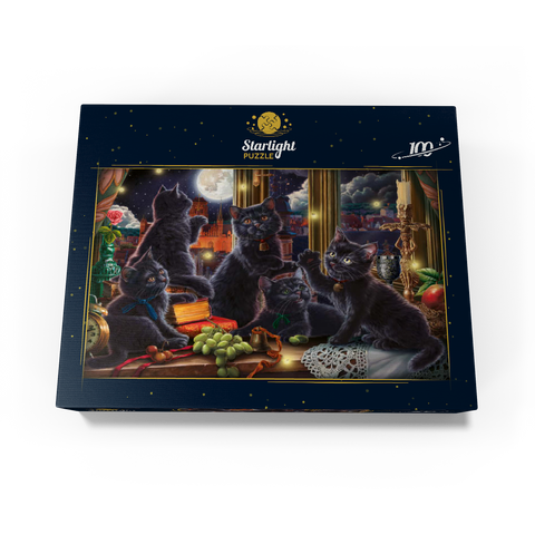 Black Kittens & Fireflies 100 Jigsaw Puzzle box view3