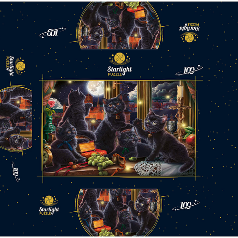 Black Kittens & Fireflies 100 Jigsaw Puzzle box 3D Modell