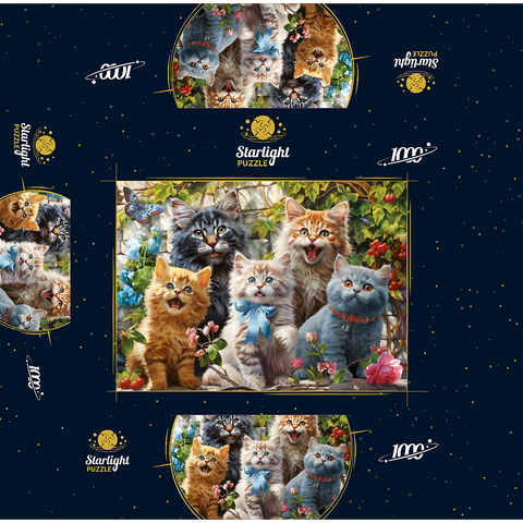 Kitten Selfie 1000 Jigsaw Puzzle box 3D Modell