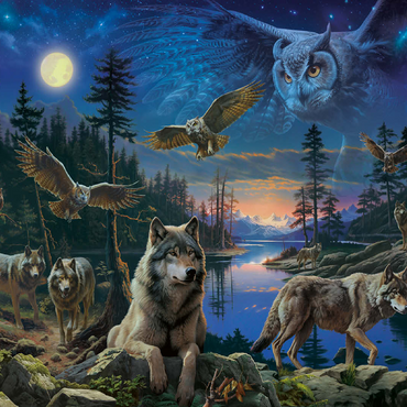 Night Wolves & Owls 100 Jigsaw Puzzle 3D Modell