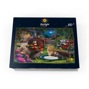 Hedgehogs & kittens 100 Jigsaw Puzzle box view3