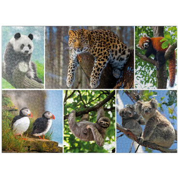 puzzleplate Unique - Endangered species - Collage No. 3 1000 Jigsaw Puzzle