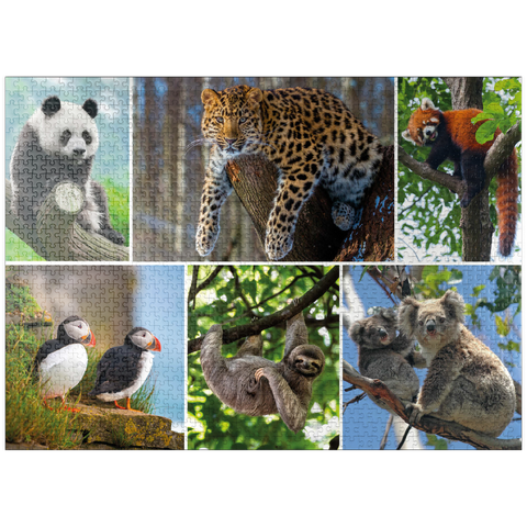 puzzleplate Unique - Endangered species - Collage No. 3 1000 Jigsaw Puzzle