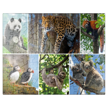 puzzleplate Unique - Endangered species - Collage No. 3 100 Jigsaw Puzzle