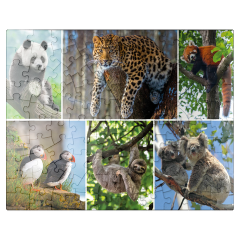 puzzleplate Unique - Endangered species - Collage No. 3 100 Jigsaw Puzzle