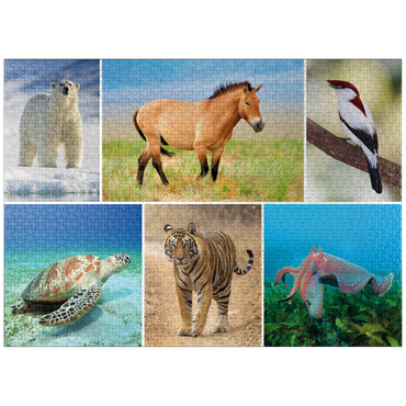 puzzleplate Unique - Endangered species - Collage No. 4 1000 Jigsaw Puzzle