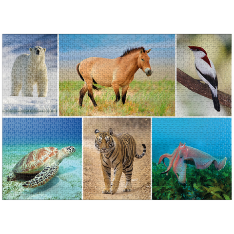 puzzleplate Unique - Endangered species - Collage No. 4 1000 Jigsaw Puzzle