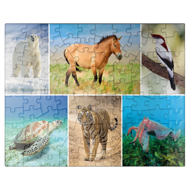 puzzleplate Unique - Endangered species - Collage No. 4 100 Jigsaw Puzzle