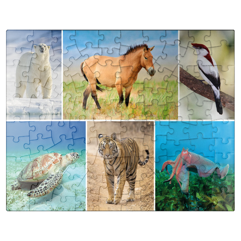 puzzleplate Unique - Endangered species - Collage No. 4 100 Jigsaw Puzzle