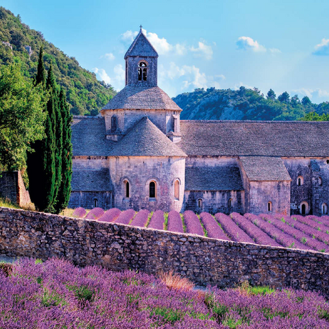 Notre Dame de Sénanque, Gordes, Provence, France 100 Jigsaw Puzzle 3D Modell