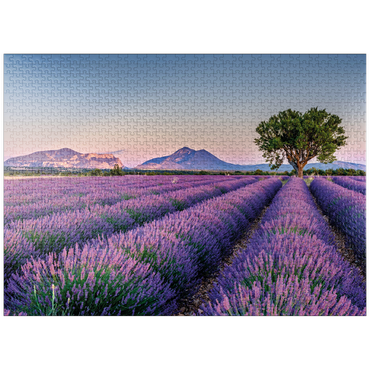 puzzleplate Lavender field in Provence, France 1000 Jigsaw Puzzle