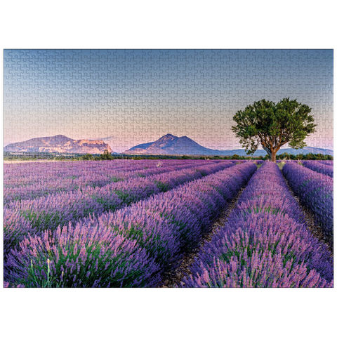 puzzleplate Lavender field in Provence, France 1000 Jigsaw Puzzle