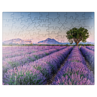 puzzleplate Lavender field in Provence, France 100 Jigsaw Puzzle