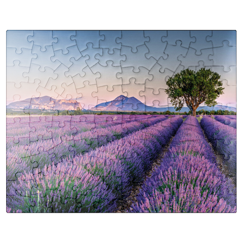 puzzleplate Lavender field in Provence, France 100 Jigsaw Puzzle