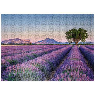 puzzleplate Lavender field in Provence, France 500 Jigsaw Puzzle