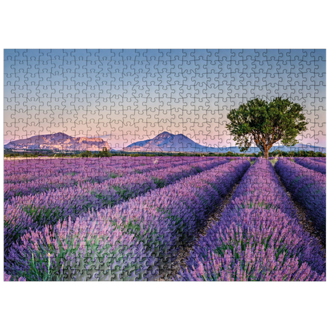 puzzleplate Lavender field in Provence, France 500 Jigsaw Puzzle