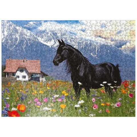 puzzleplate Blackie Raven 500 Jigsaw Puzzle