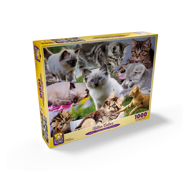 Kitten Cuties 1000 Jigsaw Puzzle box view2