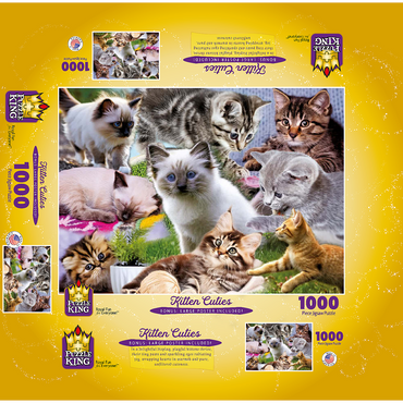 Kitten Cuties 1000 Jigsaw Puzzle box 3D Modell