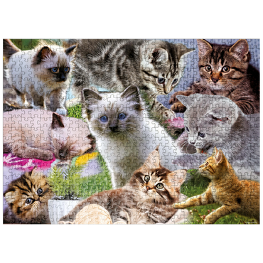 puzzleplate Kitten Cuties 500 Jigsaw Puzzle