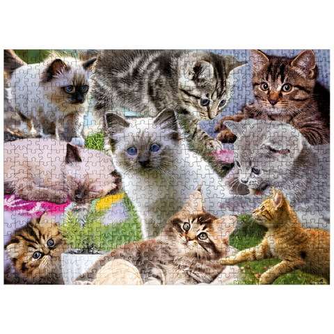 puzzleplate Kitten Cuties 500 Jigsaw Puzzle