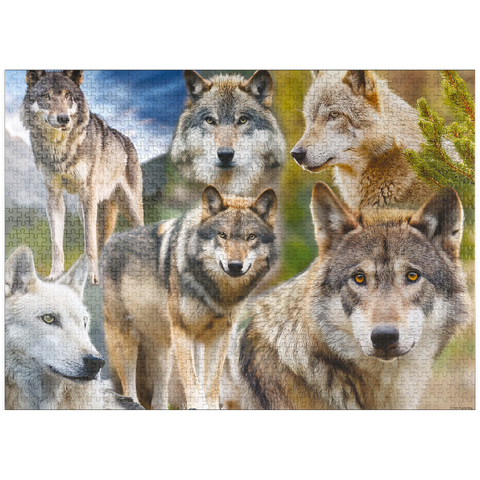 puzzleplate Wolf Brothers 1000 Jigsaw Puzzle