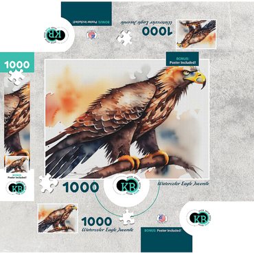 Abstract Watercolor Eagle Juvenile Wildlife Canvas 1000 Jigsaw Puzzle box 3D Modell