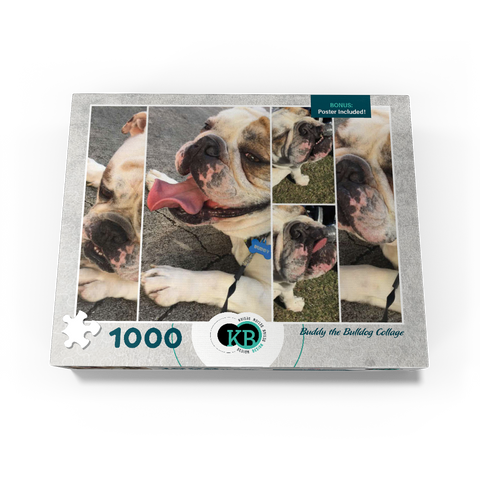 Animal Photography: Buddy the Bulldog Collage 1000 Jigsaw Puzzle box view3