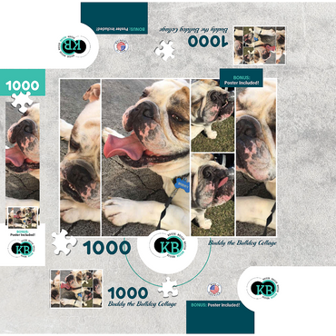 Animal Photography: Buddy the Bulldog Collage 1000 Jigsaw Puzzle box 3D Modell