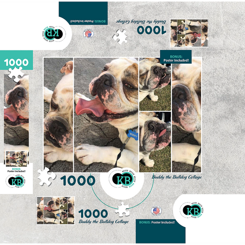 Animal Photography: Buddy the Bulldog Collage 1000 Jigsaw Puzzle box 3D Modell