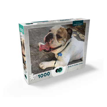 Animal Photography: Buddy the Bulldog Smiling 1000 Jigsaw Puzzle box view2