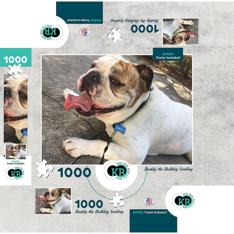 Animal Photography: Buddy the Bulldog Smiling 1000 Jigsaw Puzzle box 3D Modell