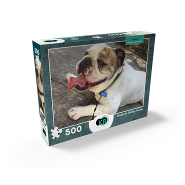 Animal Photography: Buddy the Bulldog Smiling 500 Jigsaw Puzzle box view2