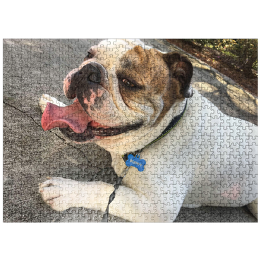 puzzleplate Animal Photography: Buddy the Bulldog Smiling 500 Jigsaw Puzzle