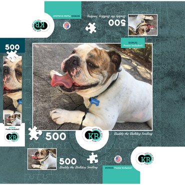 Animal Photography: Buddy the Bulldog Smiling 500 Jigsaw Puzzle box 3D Modell